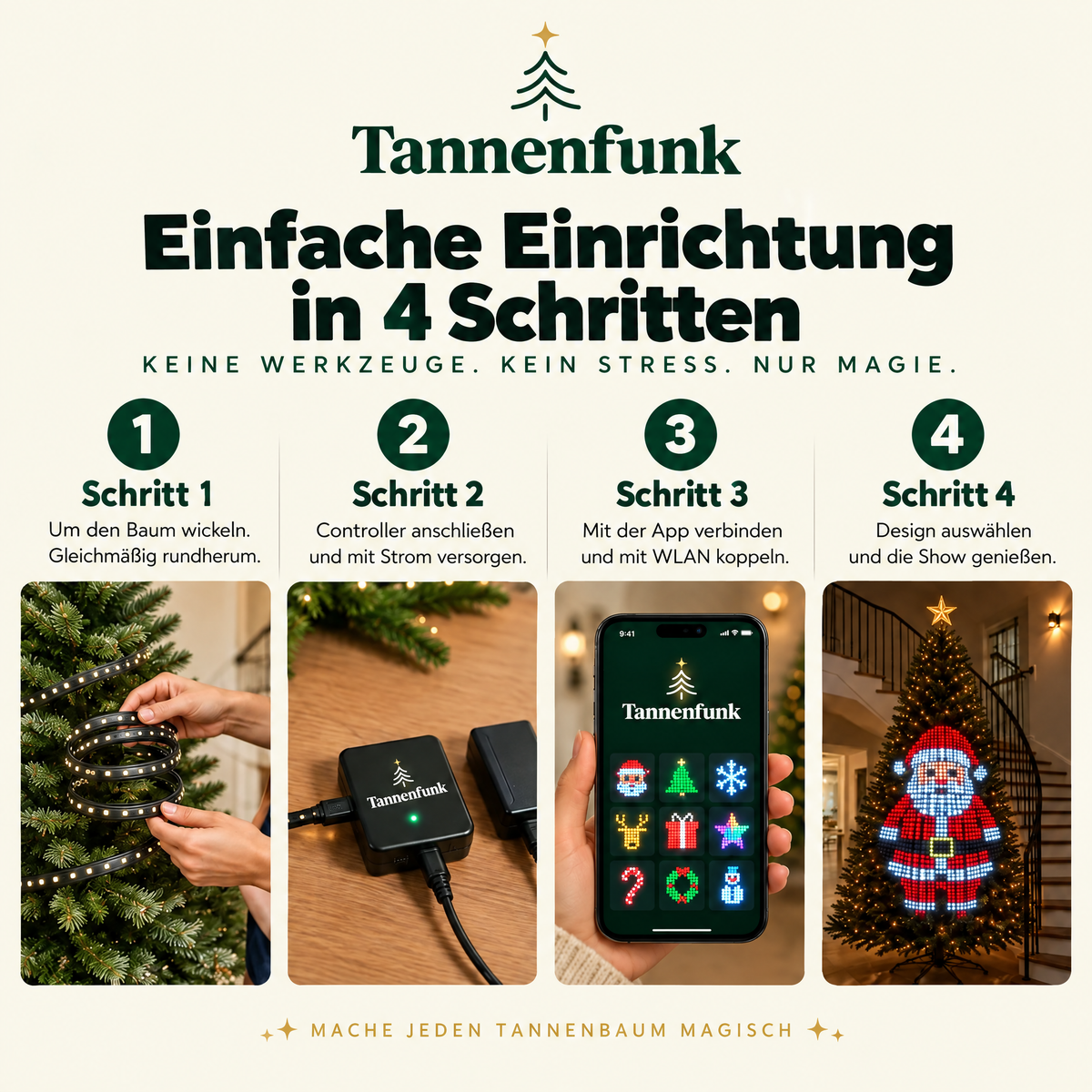 Tannenfunk Einfache Einrichtung in 4 Schritten